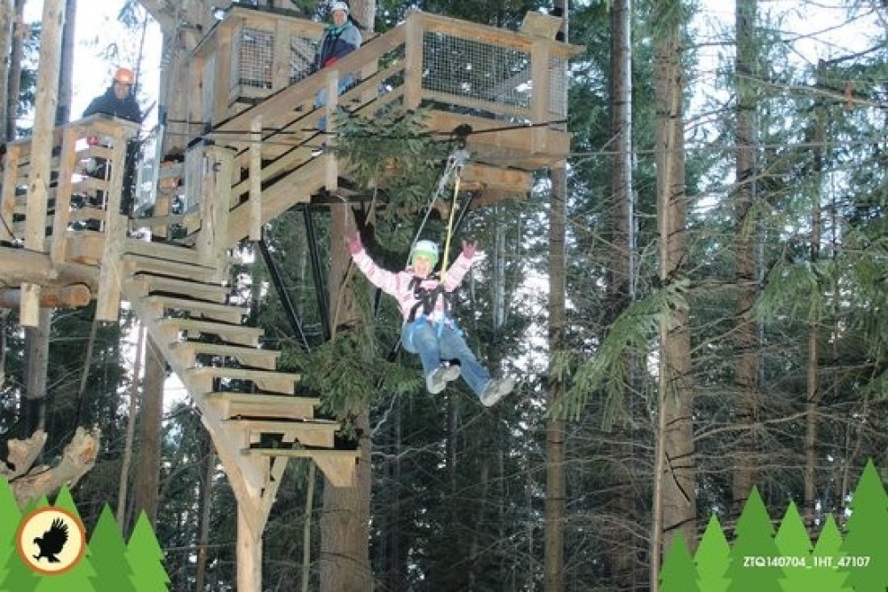 Appellation Wine Tours