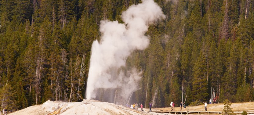 Yellowstone: Private Scenic Driving Summer Tour