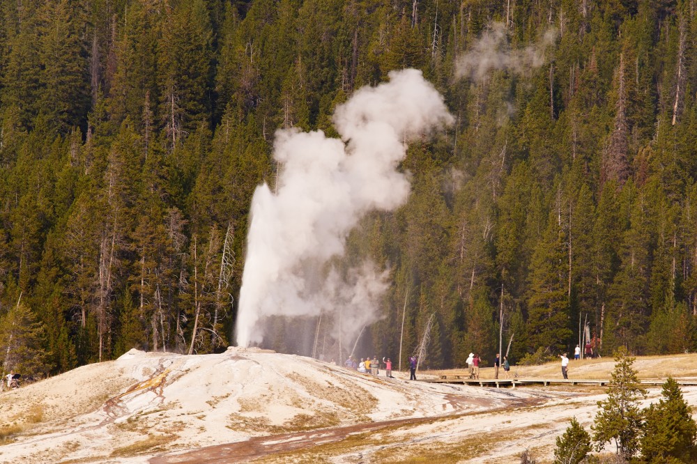 Yellowstone: Private Scenic Driving Summer Tour