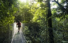 Arenal Hanging Bridges Hike
