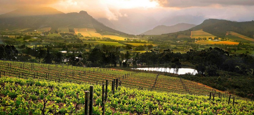 7 Day Garden Route + Cape Winelands Combo