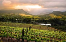 Garden Route, Cape and Wine Collection - 7 Day Combo