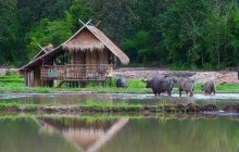 Chiang Mai Mountain Biking & Kayaks2