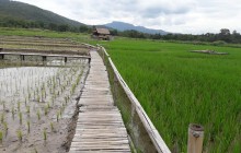 Chiang Mai Mountain Biking & Kayaks5