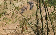 Chiang Mai Mountain Biking & Kayaks3