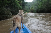 Chiang Mai Mountain Biking & Kayaks4