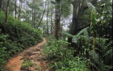 Chiang Mai Mountain Biking & Kayaks6