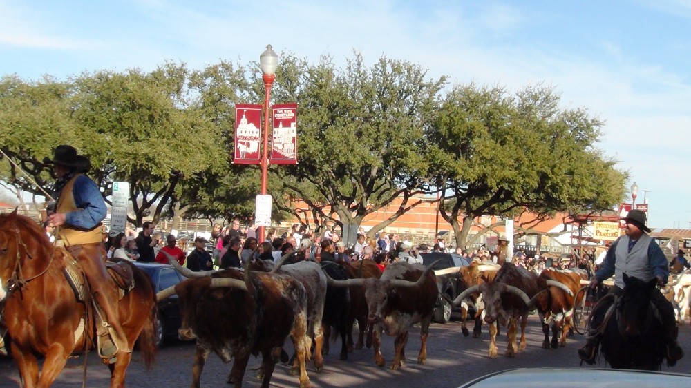 Welcome To Fort Worth - 4 Hour Small Group Tour