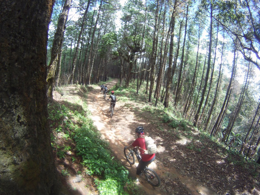 Chiang Mai Mountain Biking & Kayaks