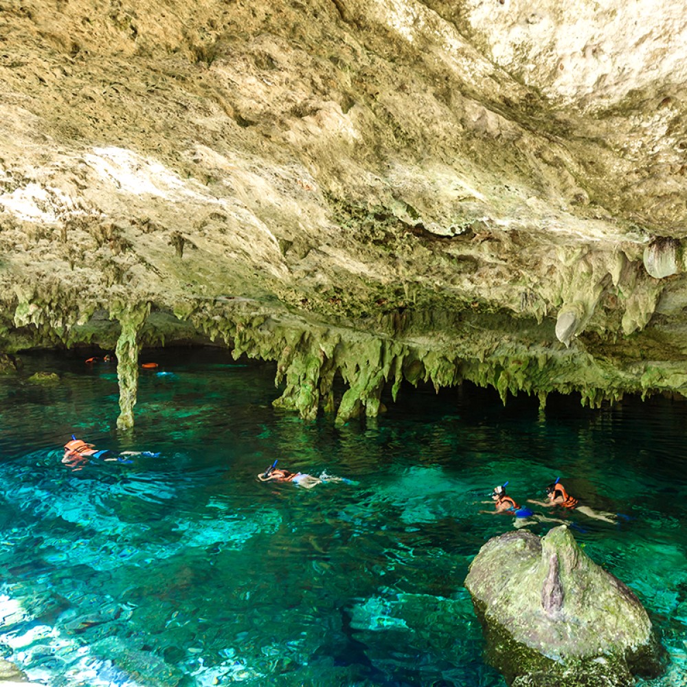 snorkeling cenotes playa del carmen