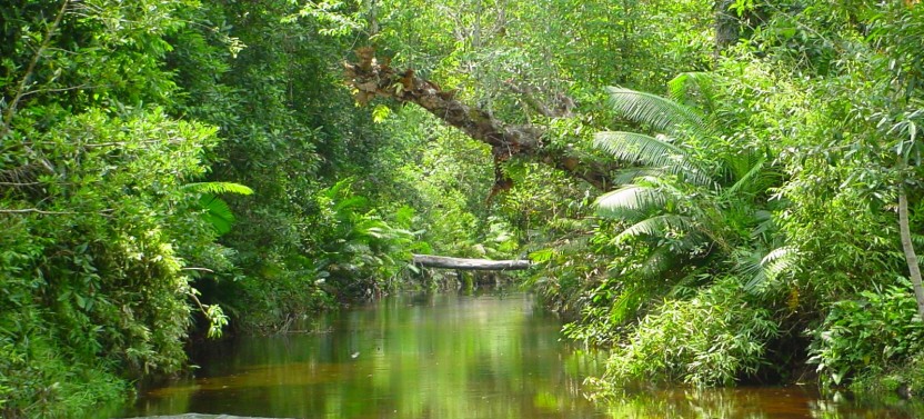 Private Phnom Kulen & 1000 Lingas River from Siem Reap