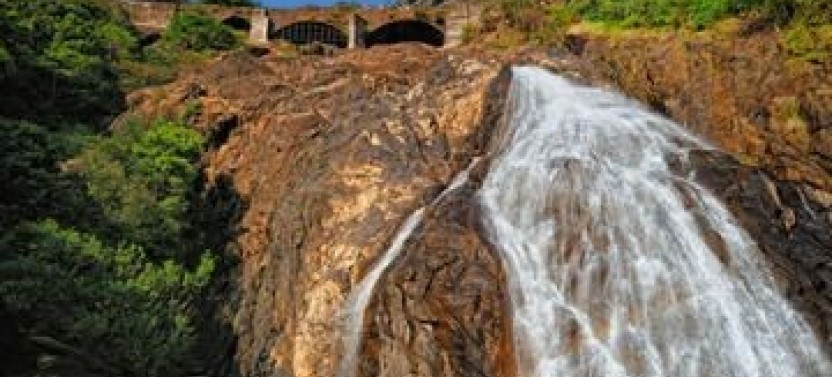 Private Mollem National Park with Dudhsagar Falls and Jeep Safari