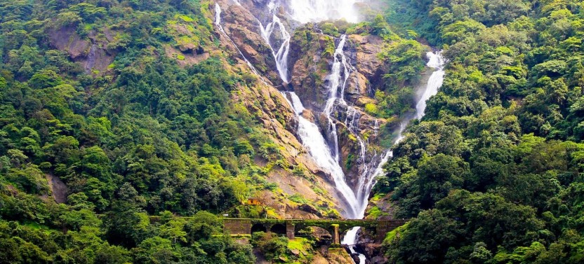 Private Mollem National Park with Dudhsagar Falls and Jeep Safari