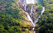 Private Mollem National Park with Dudhsagar Falls and Jeep Safari