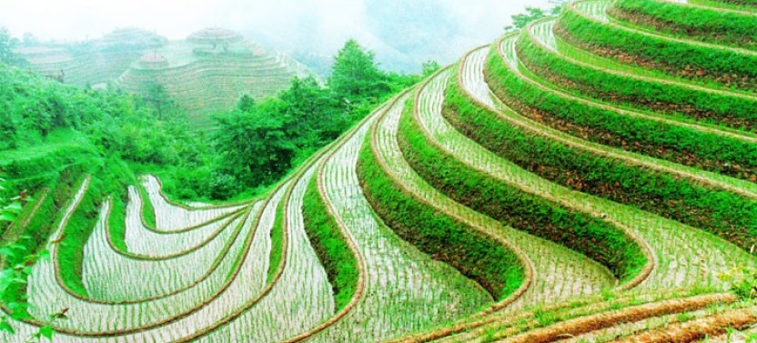 Private Longji Rice Terraces Day Tour in Longsheng