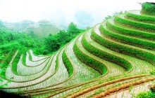Private Longji Rice Terraces Day Tour in Longsheng