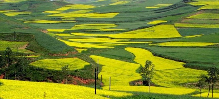 Private Longji Rice Terraces Day Tour in Longsheng