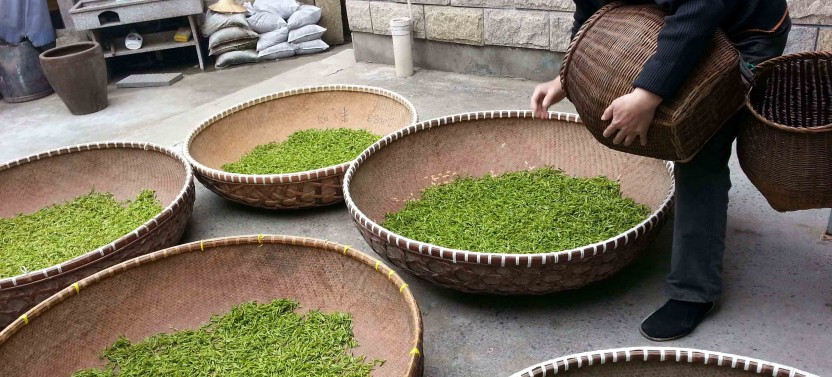Private Hangzhou Day Tour Chinese Tea Culture and West Lake