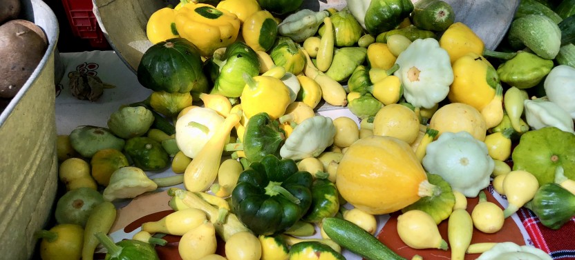 Farm-to-Table Experience Private Tour