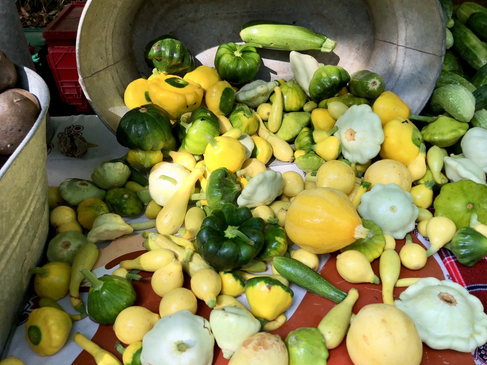 Charleston Culinary Tours
