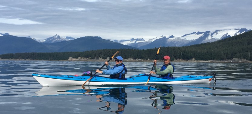 Paddle With Whales! Kayak Adventure