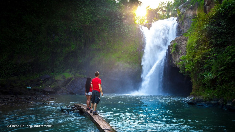 Bali Jungle Swing Combination With Waterfall & Luwak Coffee