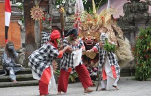 Rio Bali Tours5