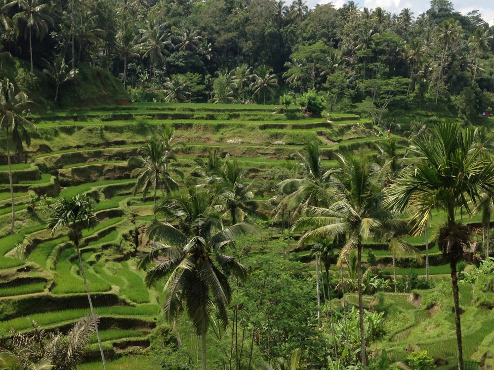 kuta ubud bali