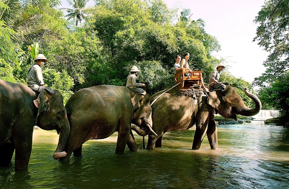Bali Elephant Ride Safari At Zoo Kuta Project Expedition