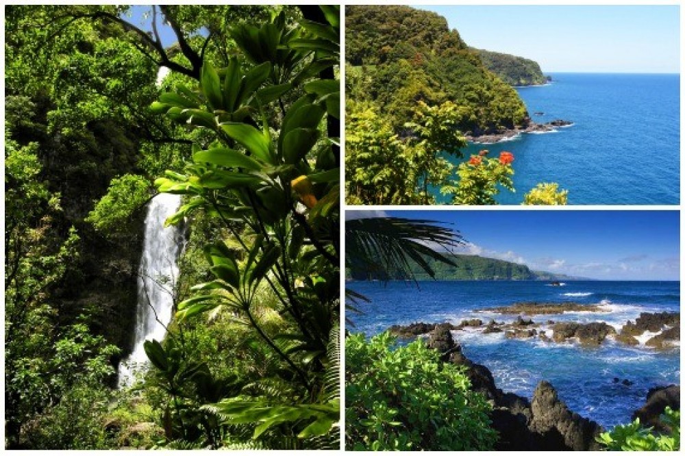 Small Group Hana Picnic Road To Hana with Beach Side Lunch Kahului