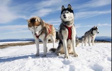 Nordic Unique Travels1