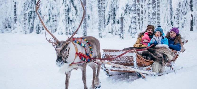 Forest Trail Reindeer Safari From Rovaniemi