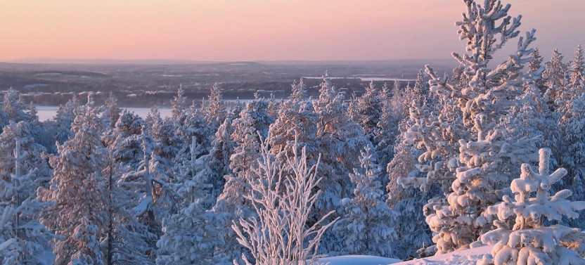 Full Day Snowmobile Safari In Rovaniemi