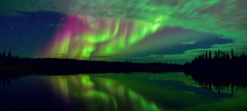 Ice Floating in Forest Lake With Aurora Borealis