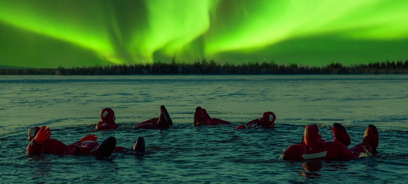 Ice Floating in Forest Lake With Aurora Borealis