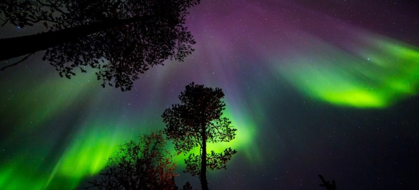 Northern Lights Photography Tour from Rovaniemi