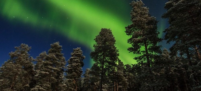 Northern Lights Photography Tour from Rovaniemi