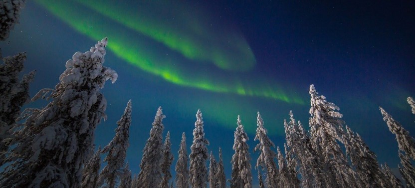 Northern Lights Snowmobile Hunt from Rovaniemi