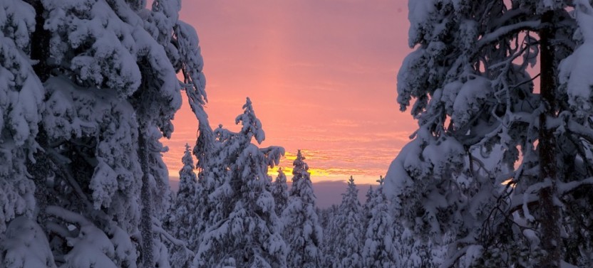 Ounasvaara Panoramic View And Ranua Wildlife Park