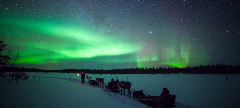 Searching the Northern Lights In a Reindeer Sleigh
