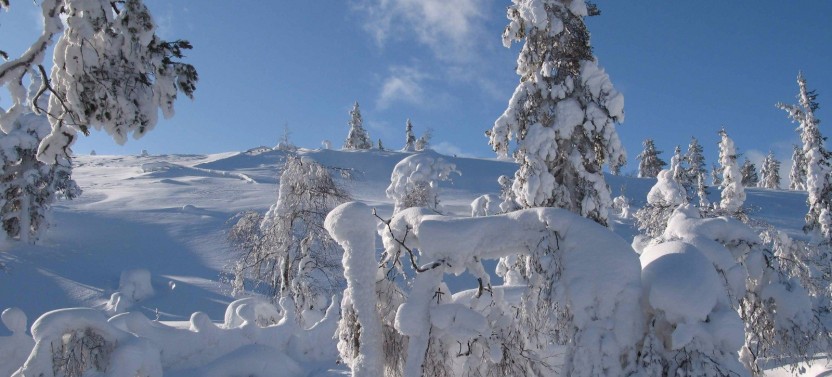 Santa Claus and Reindeer Experience by Snowmobile & Sleigh