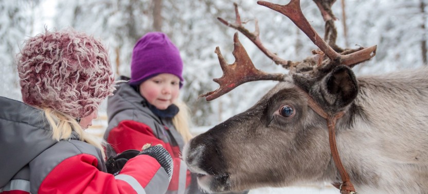 Snowmobile & Animals Day Tour at Santa's Arctic Wildlife Park