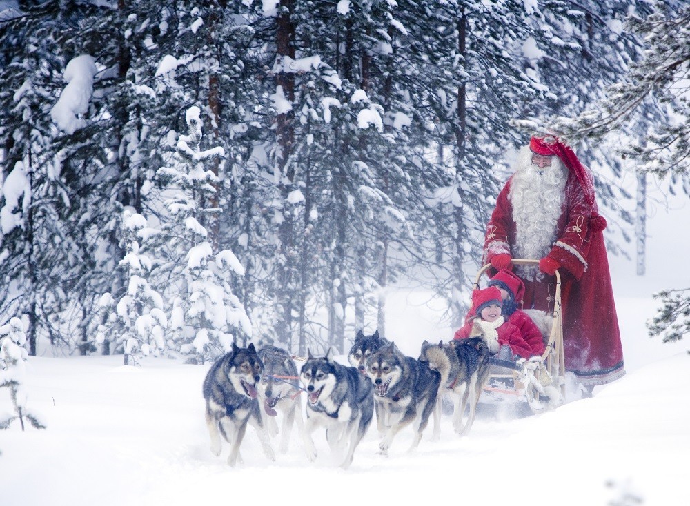 Husky Farm Visit with Husky Sleigh Experience