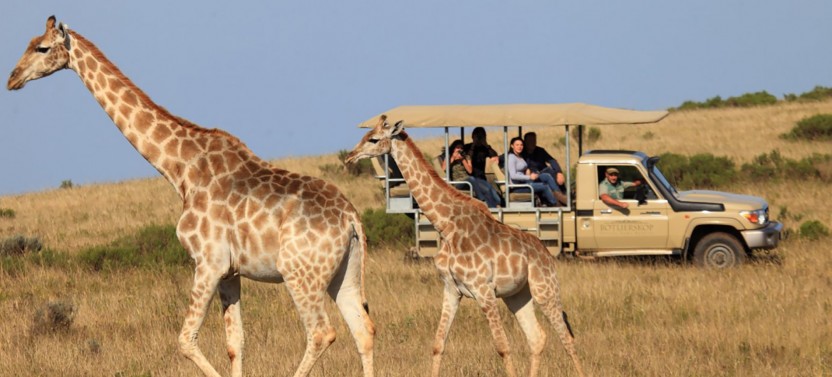 3 Day Garden Route and Safari Adventure Tour