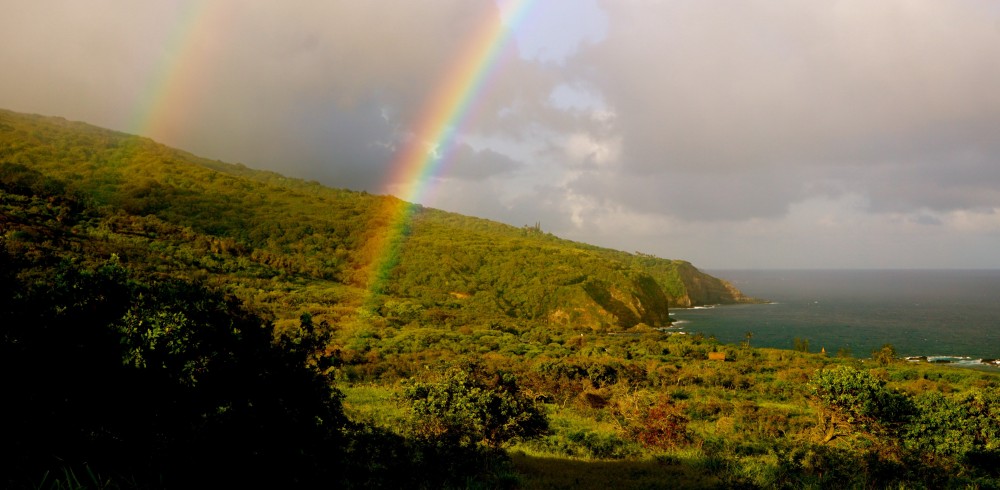 Holo Holo Maui LLC