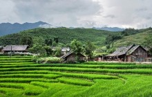 Realistic Asia296