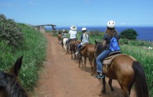 Aloha Oceanfront Horseback Ride - Morning