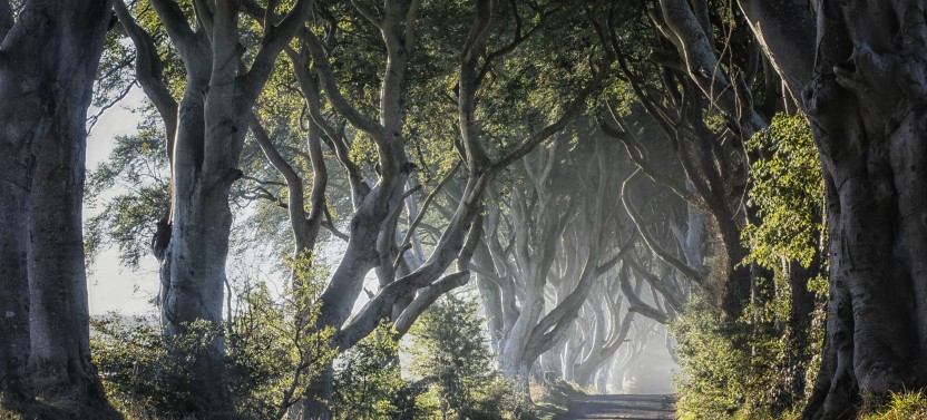 Game of Thrones® Tour from Belfast