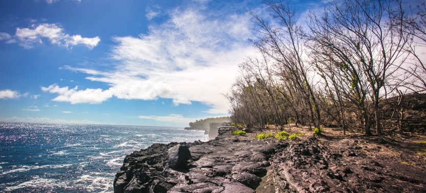 Elite Volcano Hike from Hilo