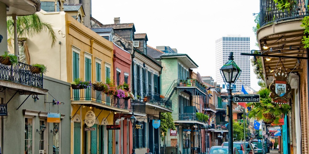 Private French Quarter Walking and Citywide Driving Tours Combo